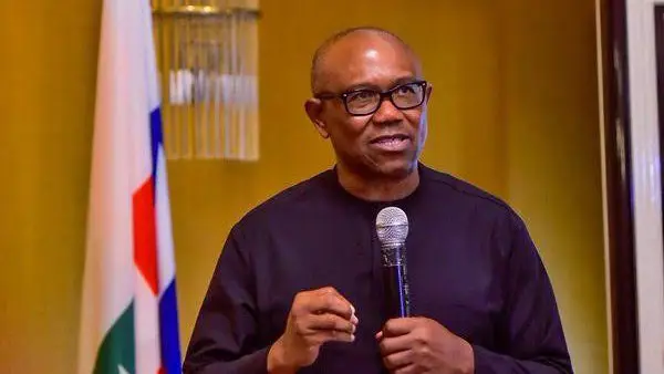 2023 Elections: Peter Obi wins one LG in Niger